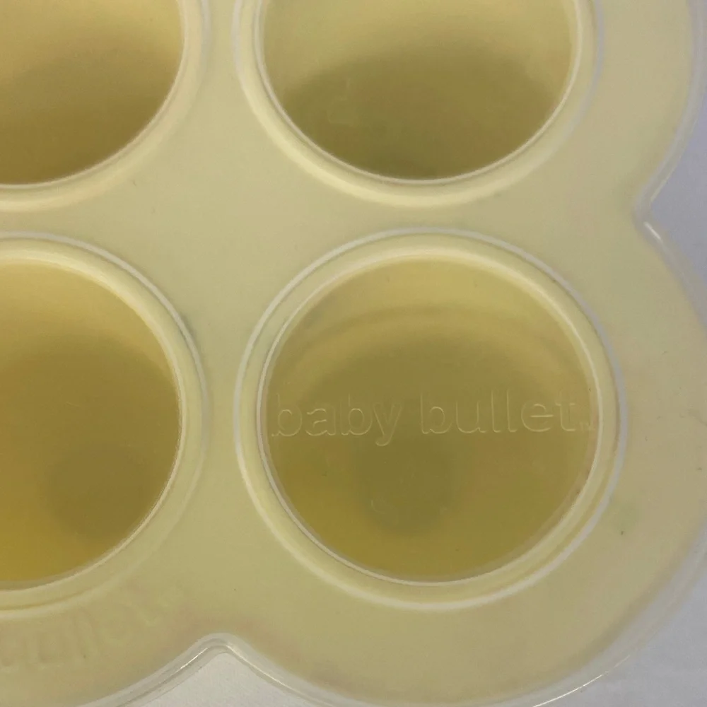 Baby Bullet Silicone Food Storage Tray With Lid Homemade Baby Food
